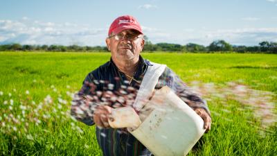 Ubezpieczenie społeczne rolnika - warunki korzystania