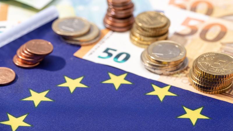 Rozliczanie się z fiskusem w euro